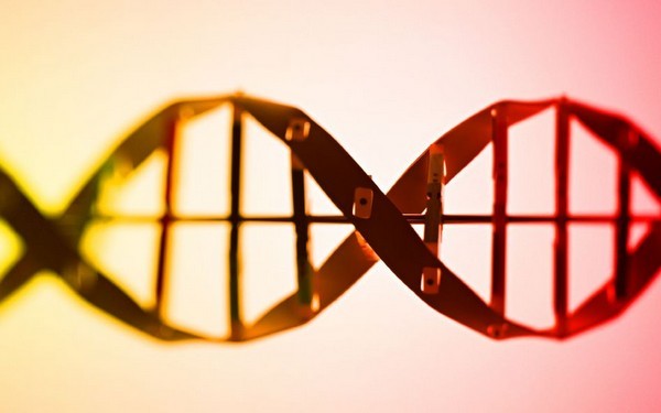 ,互联网,DNA 技术让计算机“活过来”