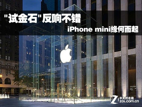 ,Apple,平板电脑,智能手机,“试金石”反响不错 iPhone mini缘何而起？