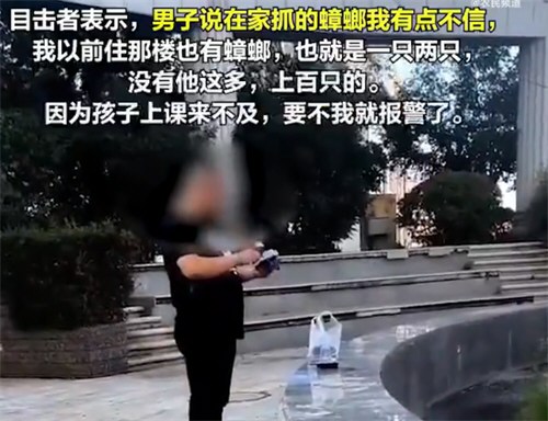 男子闹市区一盒盒放生蟑螂