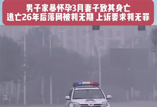 男子家暴孕妻致死落网后求判无罪