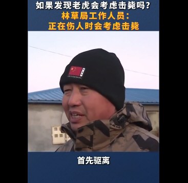 黑龙江：非必要不击毙老虎 除非正伤人