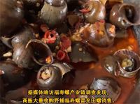 灯泡厂孙姐螺蛳粉被疑用福寿螺 一只福寿螺可含6000条寄生虫