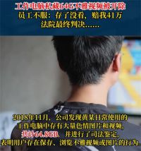 男子工作电脑藏64G色情视频被开除 向公司索赔41万