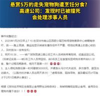 悬赏5万的走失宠物狗遭烹饪分食 高速公司回应走失宠物狗遭烹饪分食