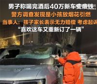 40万新车被小孩引燃车主又订了一辆 40万新车被毁肇事方无力赔偿