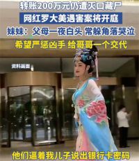 网红罗大美转账200万元仍遭灭口 罗大美被杀案将开庭