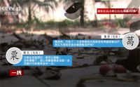 女子进行心理咨询11天后自杀身亡 坚持心理咨询六年后女生跳楼自杀