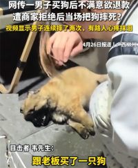 男子买狗不满意退款遭拒当场摔死狗 12345回应男子摔死狗