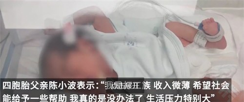 生下4胞胎父亲回应质疑 生下4胞胎父亲称暂时没考虑带货